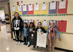 First graders study the human body